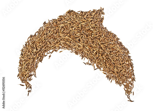 Cumin seeds or caraway isolated on white background photo