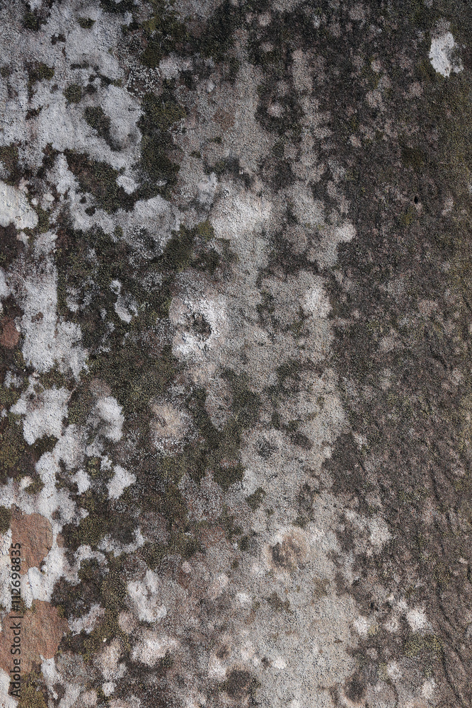 Obraz premium texture of ancient stone