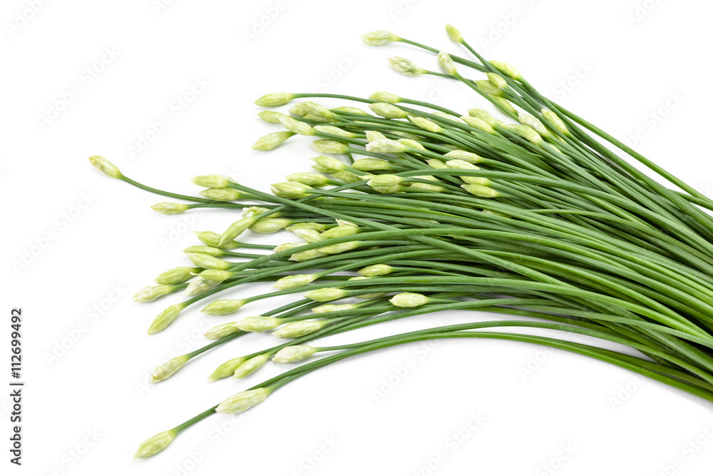 garlic chive isolated on white background