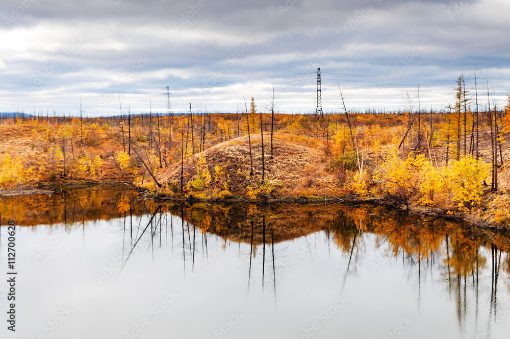 Lake in tundra in the Taimyr Peninsula