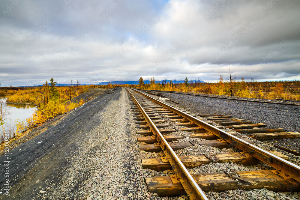 Railway track. Late autumn in the Arctic tundra.