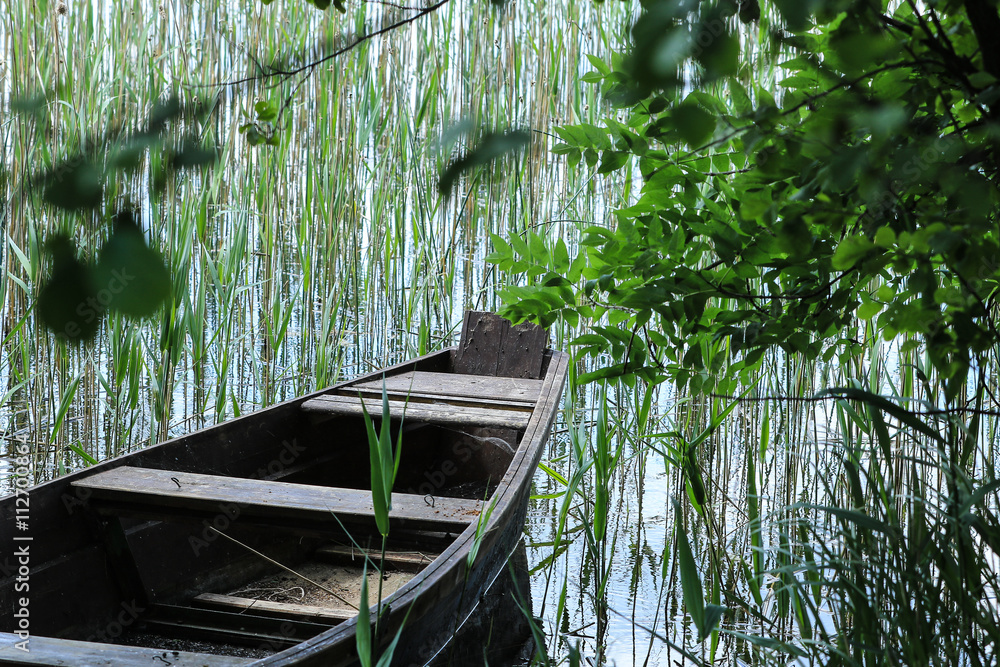 Boat among reeds 