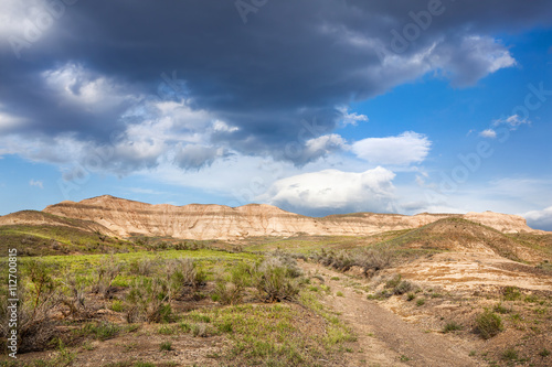 Spring in the desert