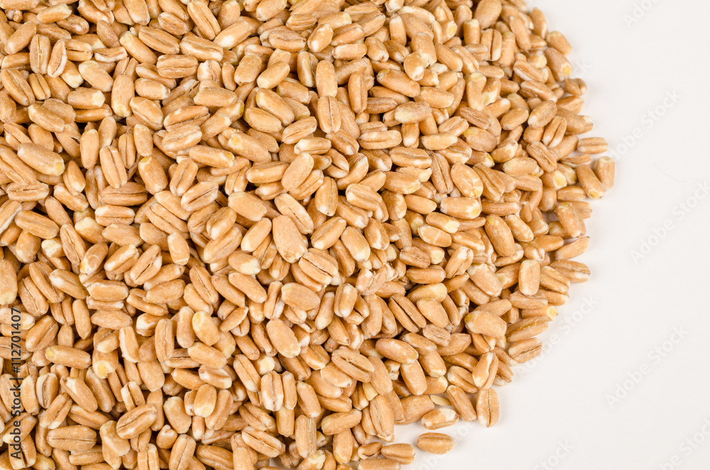 Spelt grain Spelt grain