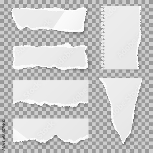 Blank torn paper with bends and tears. Ripped sheet paper and reminder lacerated paper blank. Vector illustration set