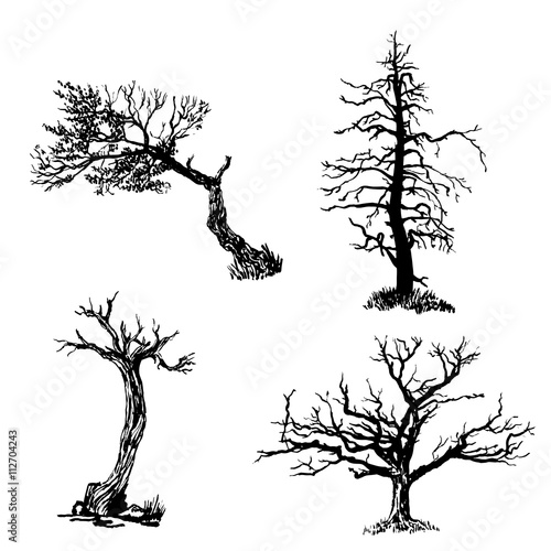 drawing Collection set of four trees isolated dry ink brush sketch hand drawn vector illustration