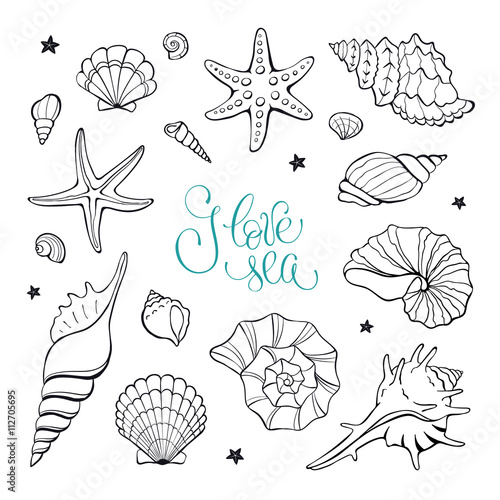 Hand drawn sea shells and stars collection. Marine illustration for coloring books. Shellfish outlines isolated on white background.