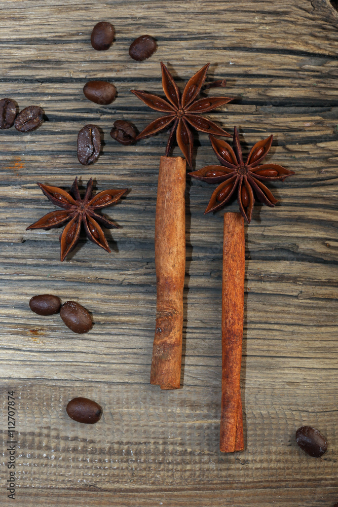 Fototapeta premium cinnamon and star anise