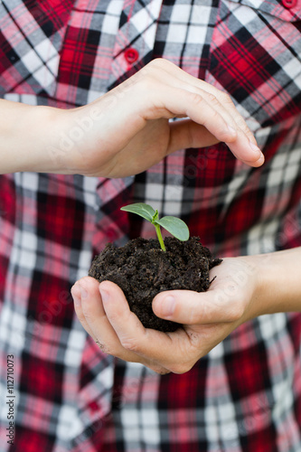Woman's hands  holding young plant. Ecology concept