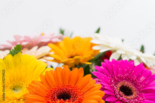 background bouquet of multicolored gerberas  a semicircle  with