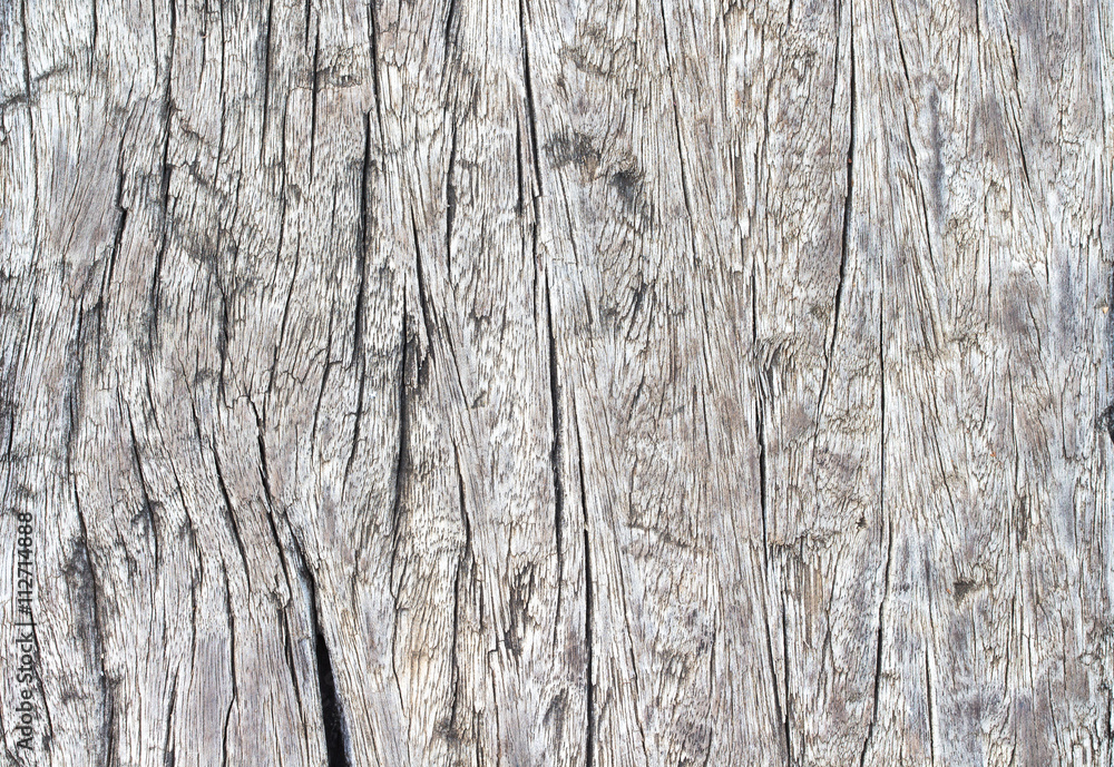 Obraz premium wood texture. background old panels