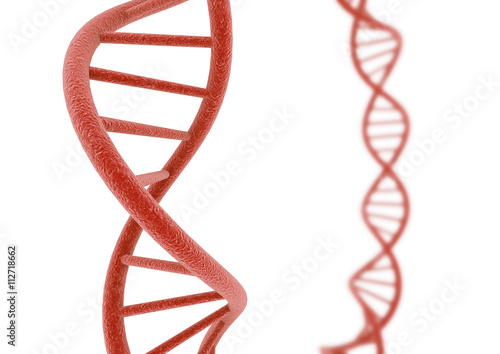Photography Red DNA.