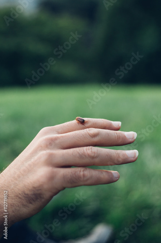 hand with a small insect on it, isolated © aledesun