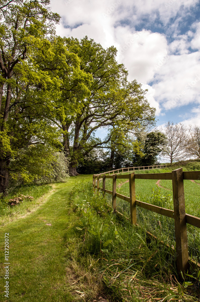 Perspective down the fence.