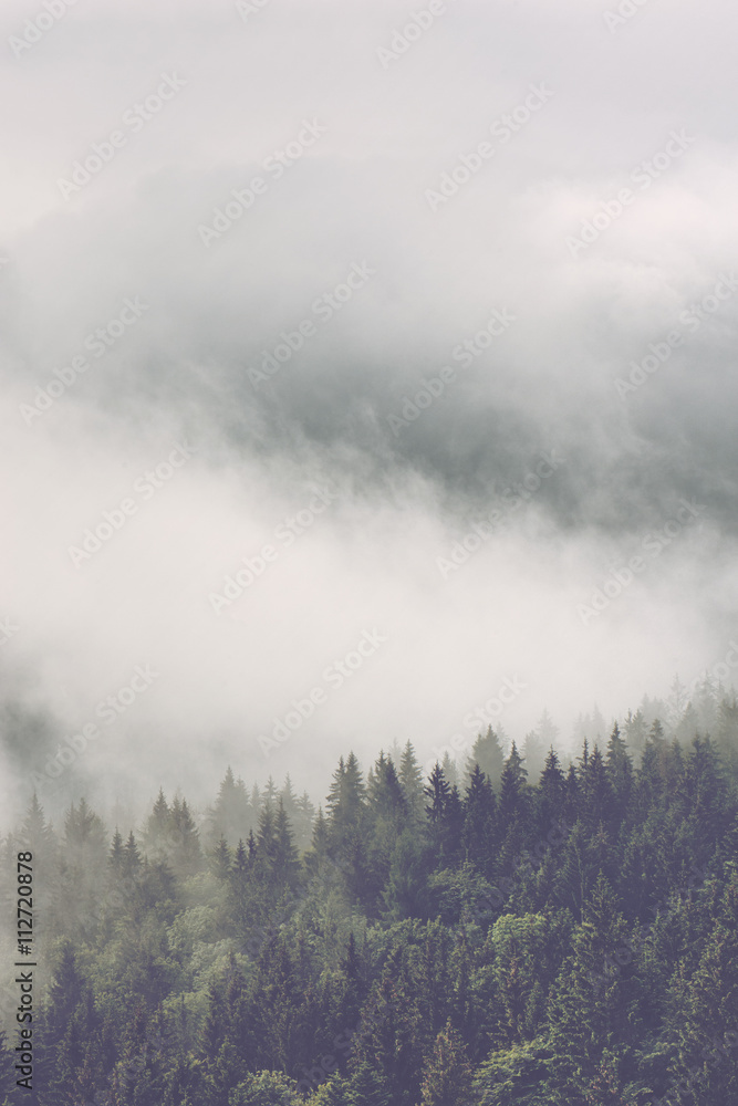Atmospheric misty landscape