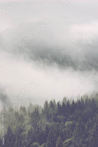 Atmospheric misty landscape