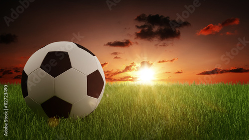 Soccer Ball on Green Grass with Bright Sunlight © XtravaganT