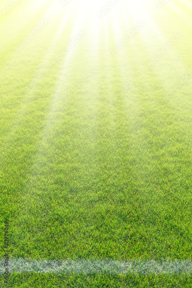 Hintergrund – Sonne strahlt hell über Rasenplatz mit Spielfeldbegrenzung
Background - sun shines brightly on grass field with centerline
