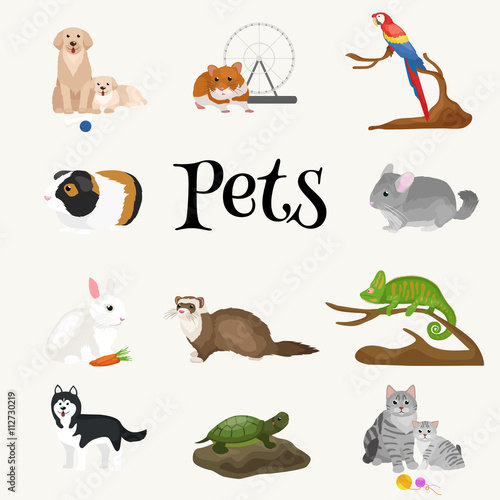 Home pets set, cat dog parrot goldfish hamster, domesticated animals
