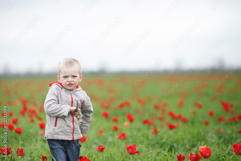 boy, kid, child, blooming, tulip fieid, stand, red, look, green boy, kid, child, blooming, tulip fieid, stand, red, look, green
