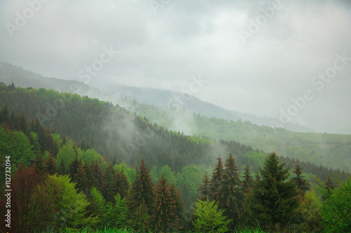 mountain landscape with clouds floating through the trees