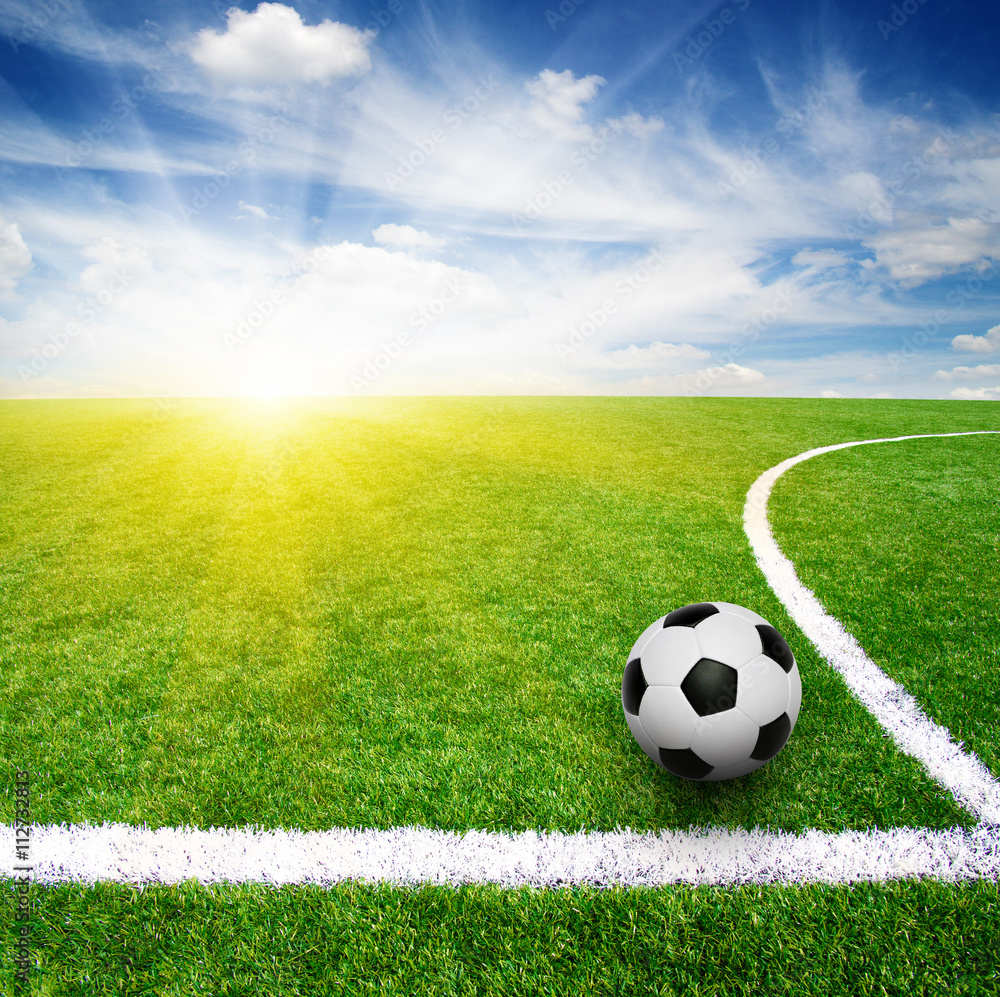 Fototapeta premium soccer ball on the grass