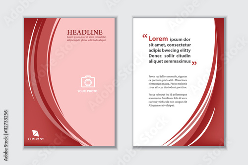 Abstract red curve background book cover