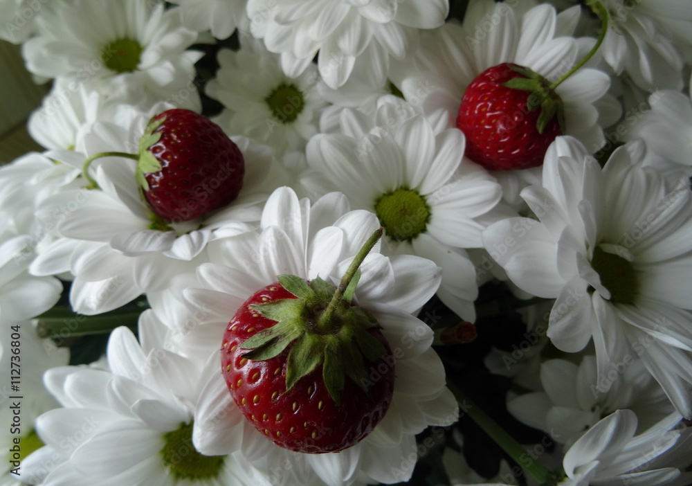 Red juicy strawberries inside the white chamomile flowers closeup
Red juicy strawberries inside the white chamomile flowers closeup