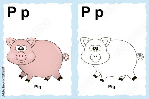 Animal alphabet. Alphabet coloring book page with outline clip art to color. Letter P