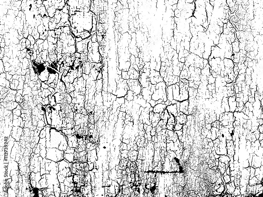 Fototapeta premium Cracks texture overlay. Vector background