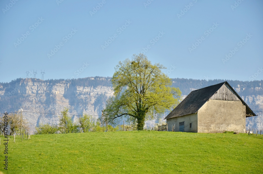 Derrière d'une bergerie (Savoie)