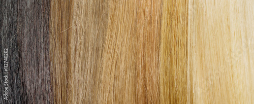 hair extension palette with color samples from blonde to black