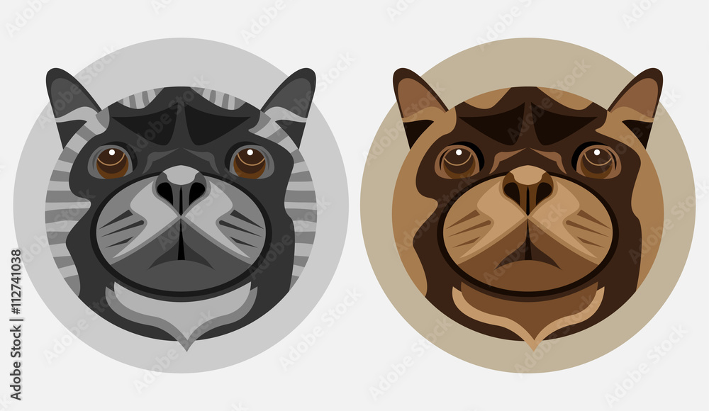 cat or dog head cat or dog head