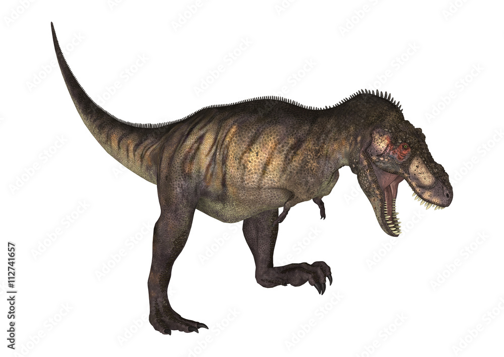 Naklejka 3D renderowania dinozaurów Tyrannosaurus na białym tle