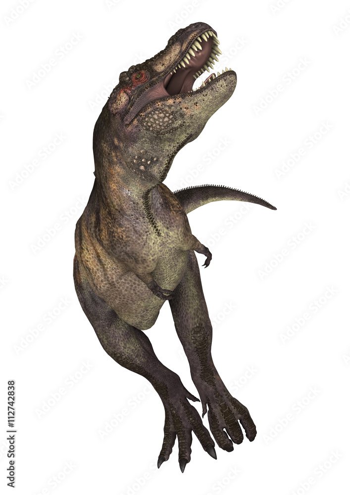 3D Rendering Dinosaur Tyrannosaurus on White 3D Rendering Dinosaur Tyrannosaurus on White