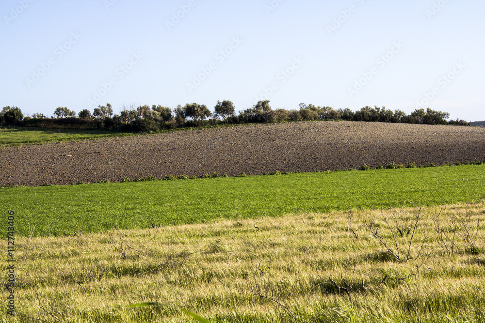 QUARTU S.E.: Campagna sul lago Simbiritzi - Sardegna QUARTU S.E.: Campagna sul lago Simbiritzi - Sardegna
