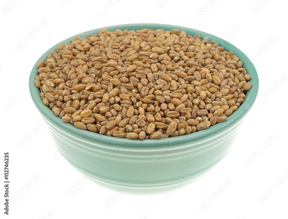 Bowl of red winter wheat berries isolated on white background. Bowl of red winter wheat berries isolated on white background.