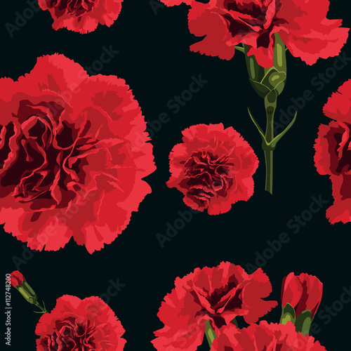 carnations flower