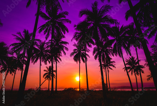 Fototapeta Naklejka Na Ścianę i Meble -  Silhouette coconut palm trees on beach at sunset. Vintage tone