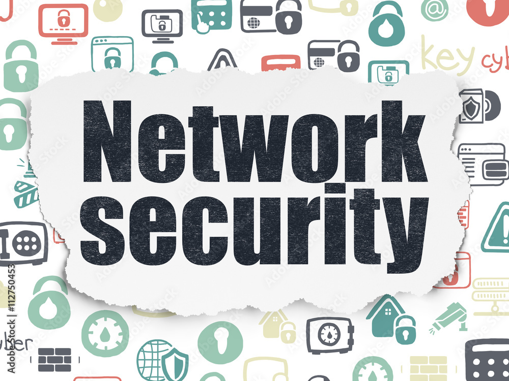 Privacy concept: Network Security on Torn Paper background