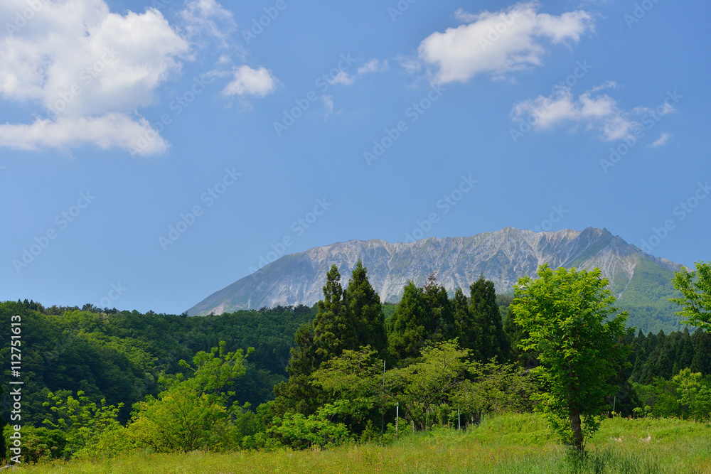 新緑の大山南壁と青空