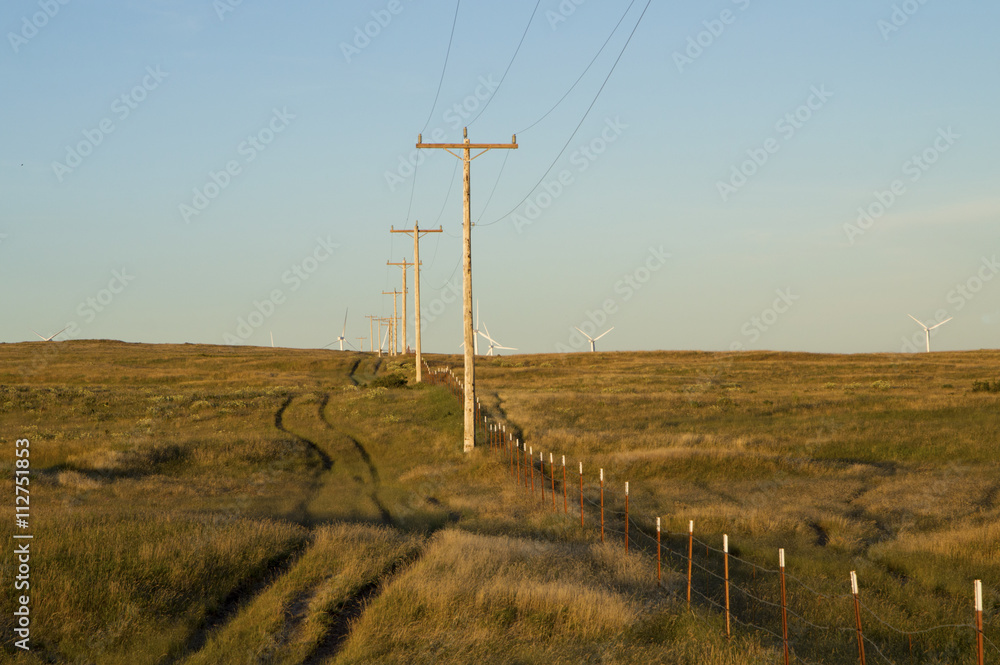 Countryside farm field with a row of wooden electrical poles  