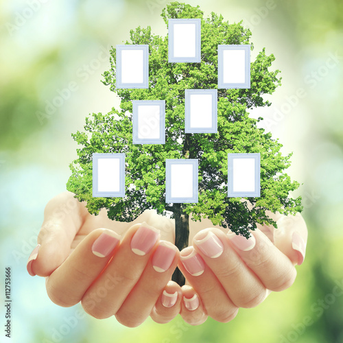 Εκτύπωση καμβά Hands holding family (genealogy ) tree with blank frames, on nature background
