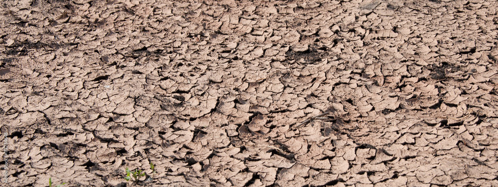 Dried soil with cracks Dried soil with cracks