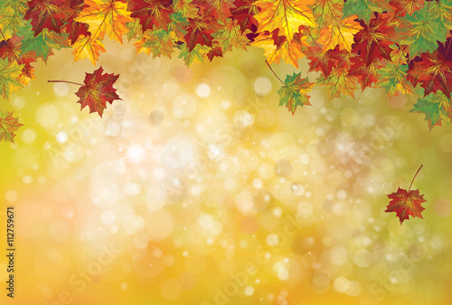 Vector autumnal leaves on bokeh background.