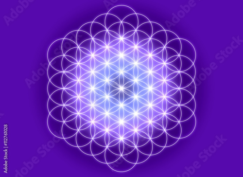 Flower of Life © Nélia Cruz