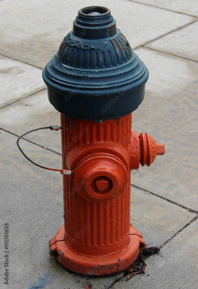 Fire hydrant on street