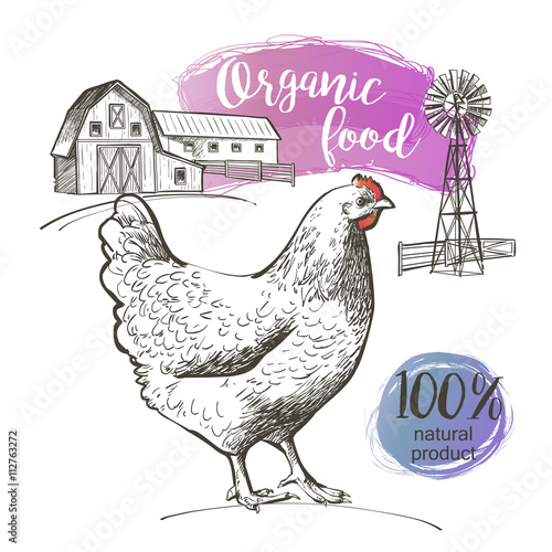 Chicken and farm