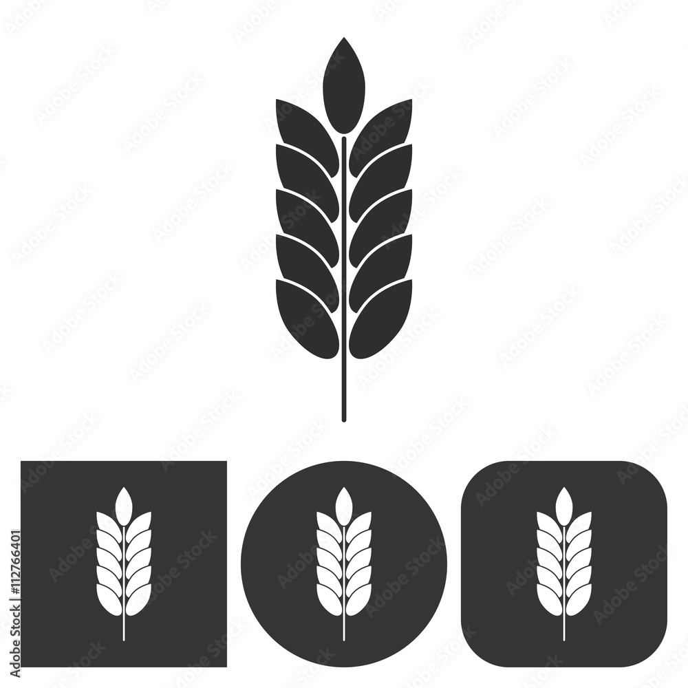 Fototapeta premium Barley - vector icon.