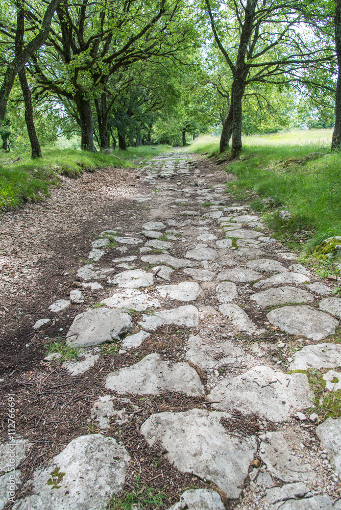 Naklejka premium antica strada di epoca romana nel bosco